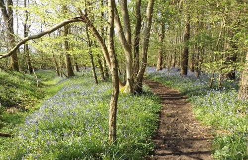 Bluebell Cottage at The Old Tractor Barn - Photo 4