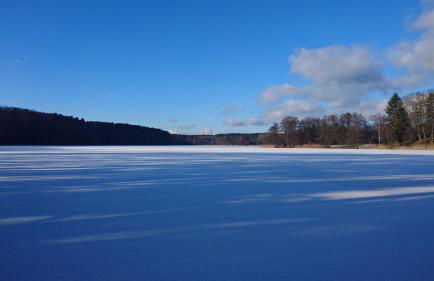 Ferienhaus direkt am See - Kamin, Klima, Sauna und Boot - Foto 29