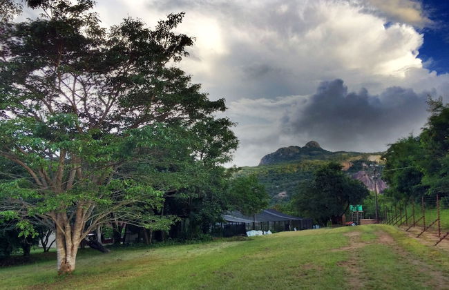 Near2Numbi - Foto 64