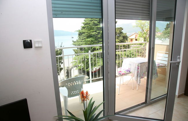 Sea star Danica - Foto 26