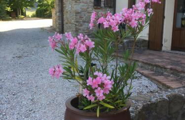 Agriturismo Colle del Lupo - Foto 32