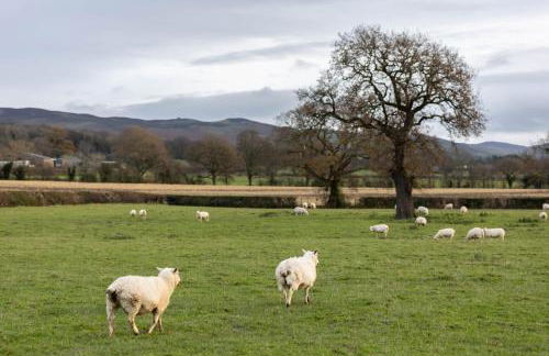 Caer Fedwen Barns Dyffryn Cottage King bed self catering with Hot Tub - Foto 15