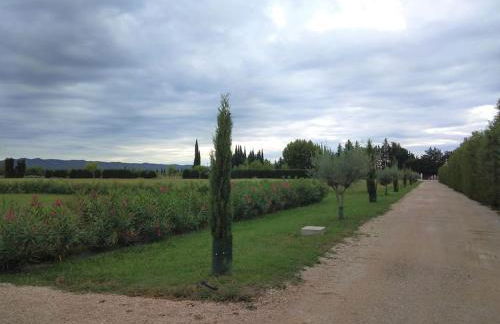 Loft avec piscine privée en campagne proche Saint Remy de Provence - Photo 24