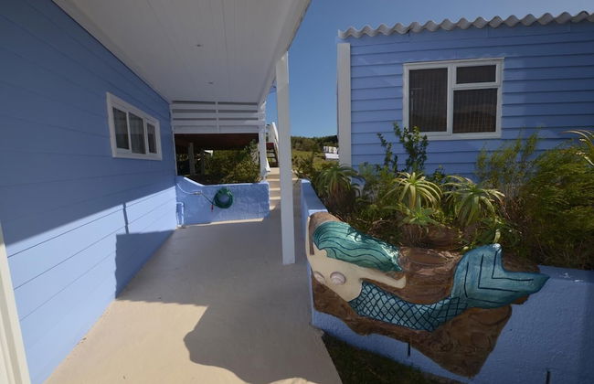 The Mermaids Tail - Foto 15