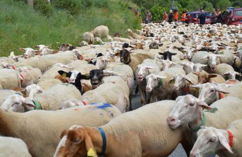 Gite La Barthe Basse - Foto 38