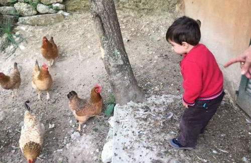 Ses Cases d'Alcudiola - Foto 49