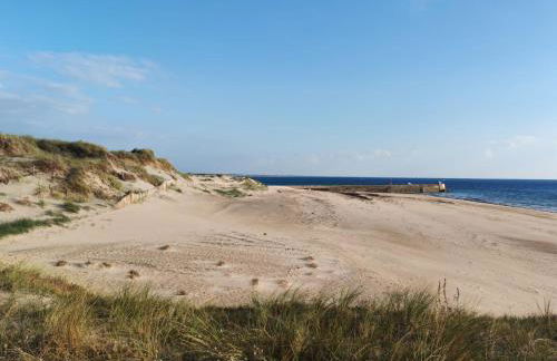 Les Sternes - Foto 52