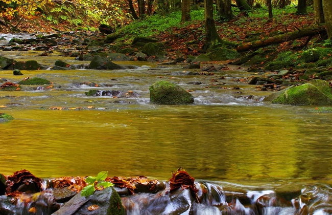 Senderismo hasta la cascada de Guaratuba - Foto 1