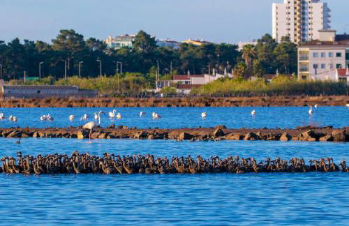 Seasun Vacation Rentals - BEACH - Foto 22