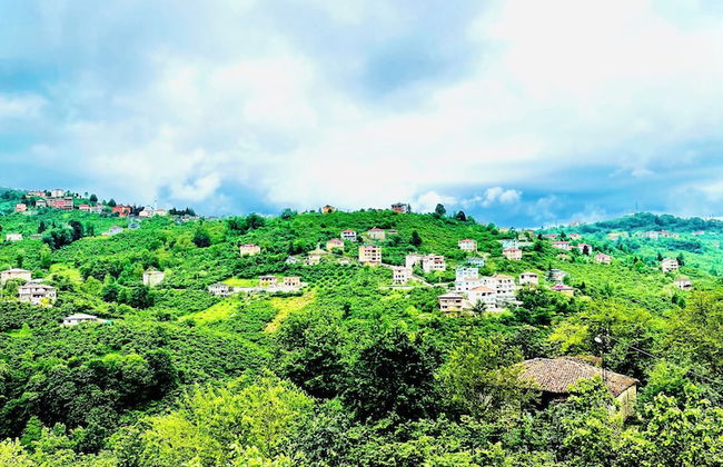 Five Stars Apart Bungalov - Foto 44