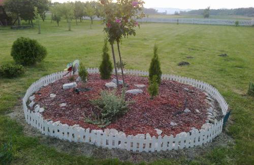 Seoski Turiziam Larva - Photo 40