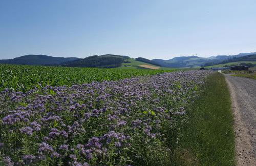 Pilgrims "Franz" großzügige Unterkunft Sauerland - Foto 23