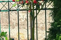 G&J Traditional House - Foto 32