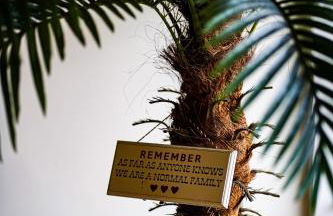 Eider Cottage Lower Mill Estate Lakeside Escape with Spa Access - Foto 45