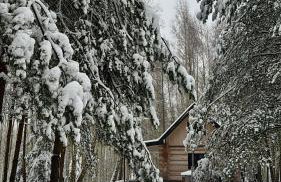 Leśne Klimaty - Foto 7