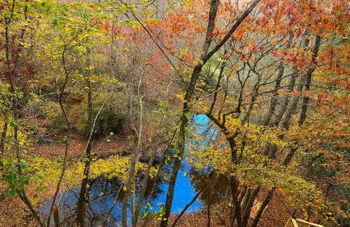 Crabapple-Secluded cabin with pond creek access, hot tube, fire pit in Blue Ridge - Photo 41