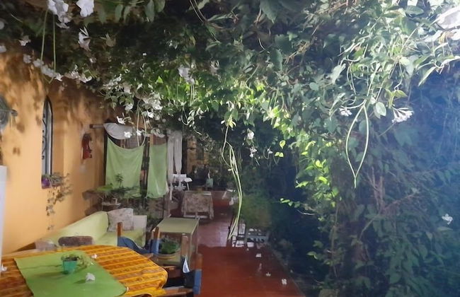 Apart Suites & Cabañas Duendes del Pungo - Foto 36