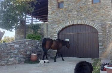 Venus cottage - Foto 17