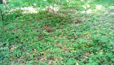 Appartementt à louer à Rennes - Photo 5