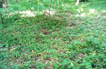 Appartementt à louer à Rennes - Photo 5