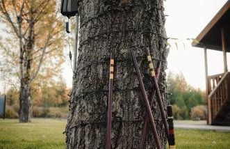 Blue Buffalo Resort - Foto 28