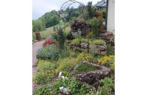 Ferienwohnung Wiesenblick - Foto 6