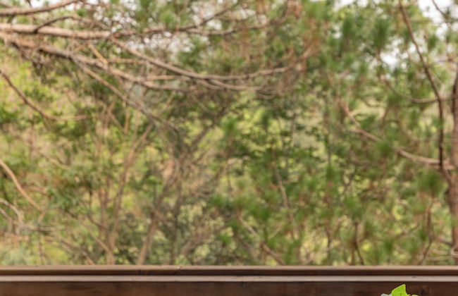 Alaya Stays Suro Woodcrest Chalet - Foto 49