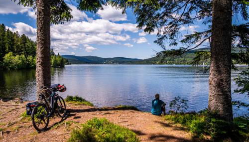 Apartment "Blackforest", Todtnau, 5 Schlafzimmer - Foto 3