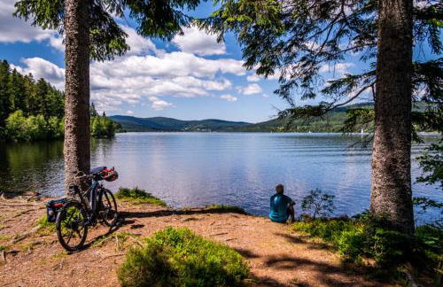 Apartment "Blackforest", Todtnau, 5 Schlafzimmer - Foto 3