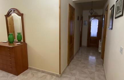 Piso Mirador de San Cosme - Foto 23