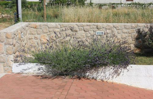 Apartments by the sea Pasman - 8215 - Foto 14