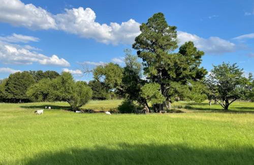 Hidden Meadow - rustic hideaway - Foto 38