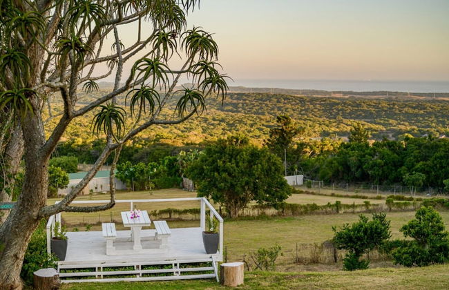 Sea Studio - Sea-facing - Foto 31