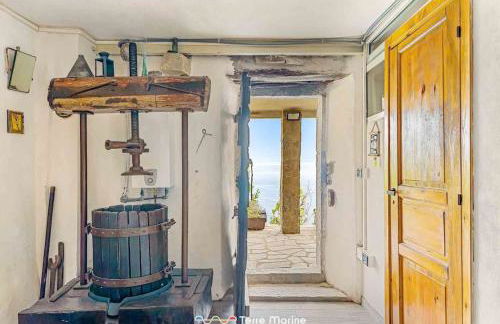 Casa Giulia, Trekking and Nature - Foto 17