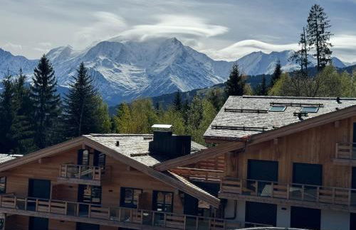 Le lodge de l alpage - Ski in ski out - 2 chambres 1 cabine - Foto 33