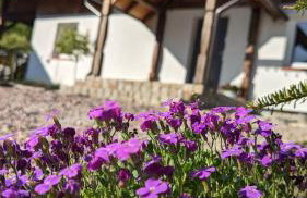 Król Puszczy - unikatowy dom, jezioro 80m, szlak Krutyni - Foto 11