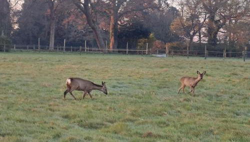 Luxury Shepherds Hut set in a countryside setting - Foto 5