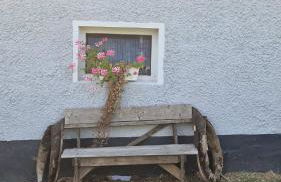 Gutshof und Ferienwohnung Proft - Foto 7