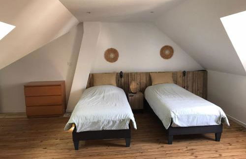 Le saint Pierre - Foto 8