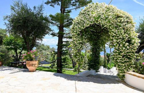 Gina Studios - Foto 20