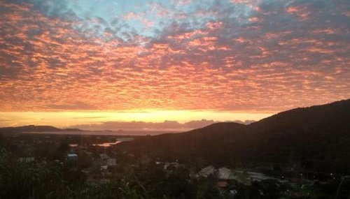 Nascer do Bosque - Foto 4