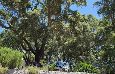 Casinha Laranja - Foto 43