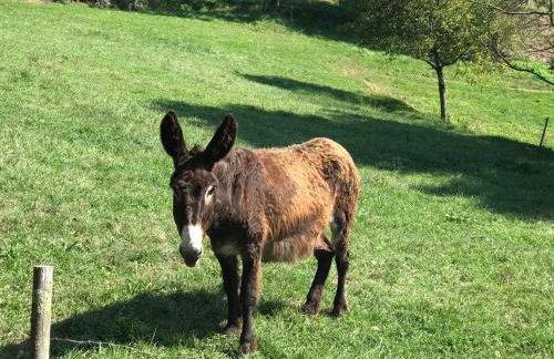 Casa Can Boix - Foto 39