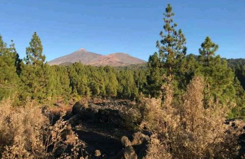 Casa Rural La Cuadra - Foto 30