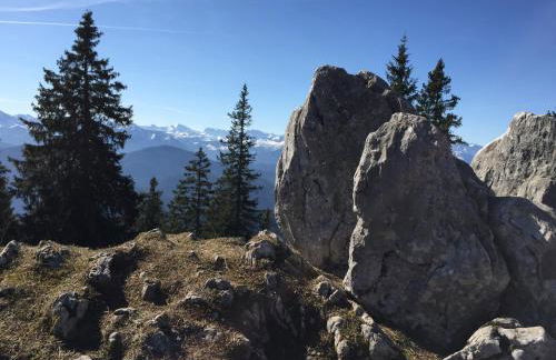 Ferienwohnung Uschi Willibald - Foto 38