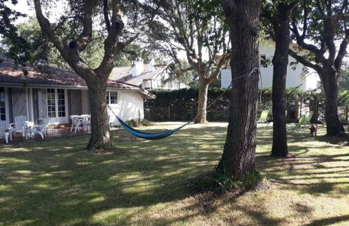 Les 3 meninos - Foto 4