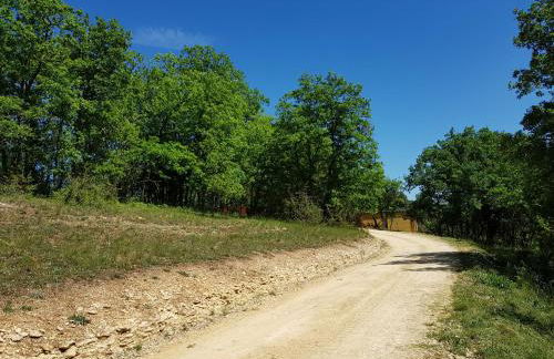 Gîtes du Chêne Vert - Foto 17