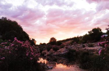 Casa rural la balsa - Foto 32