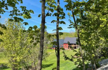 Luxurious Reading Farms Estate sleeps 46 - Photo 36