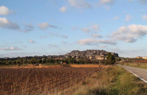 Els Ports d'Horta - Foto 43